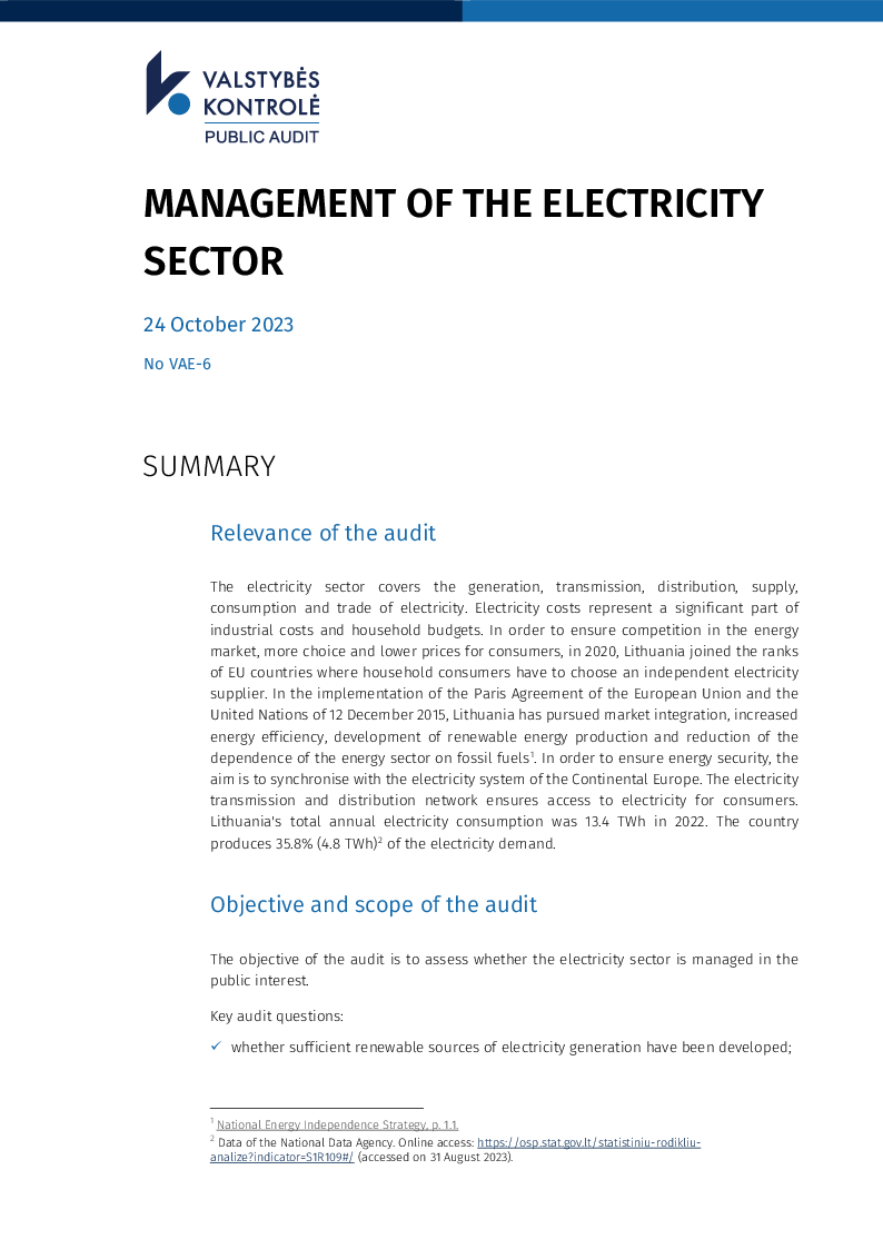 Management of the Electricity Sector