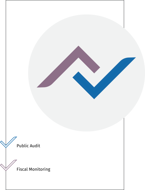 Picture for The National Audit Office carry out three types of public audit