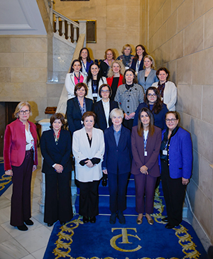 Picture for Meeting of women heads of supreme audit institutions in Madrid agrees to strengthen implementation of gender equality principle