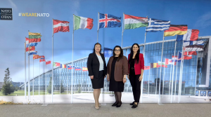 Picture for National Audit Office is strengthening its cooperation with NATO auditors: focus on partnership and current defence issues